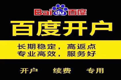 百度推广的广告投放策略案例